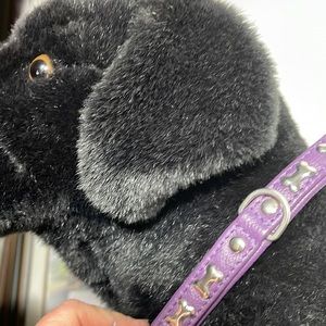 Purple leather bone collar